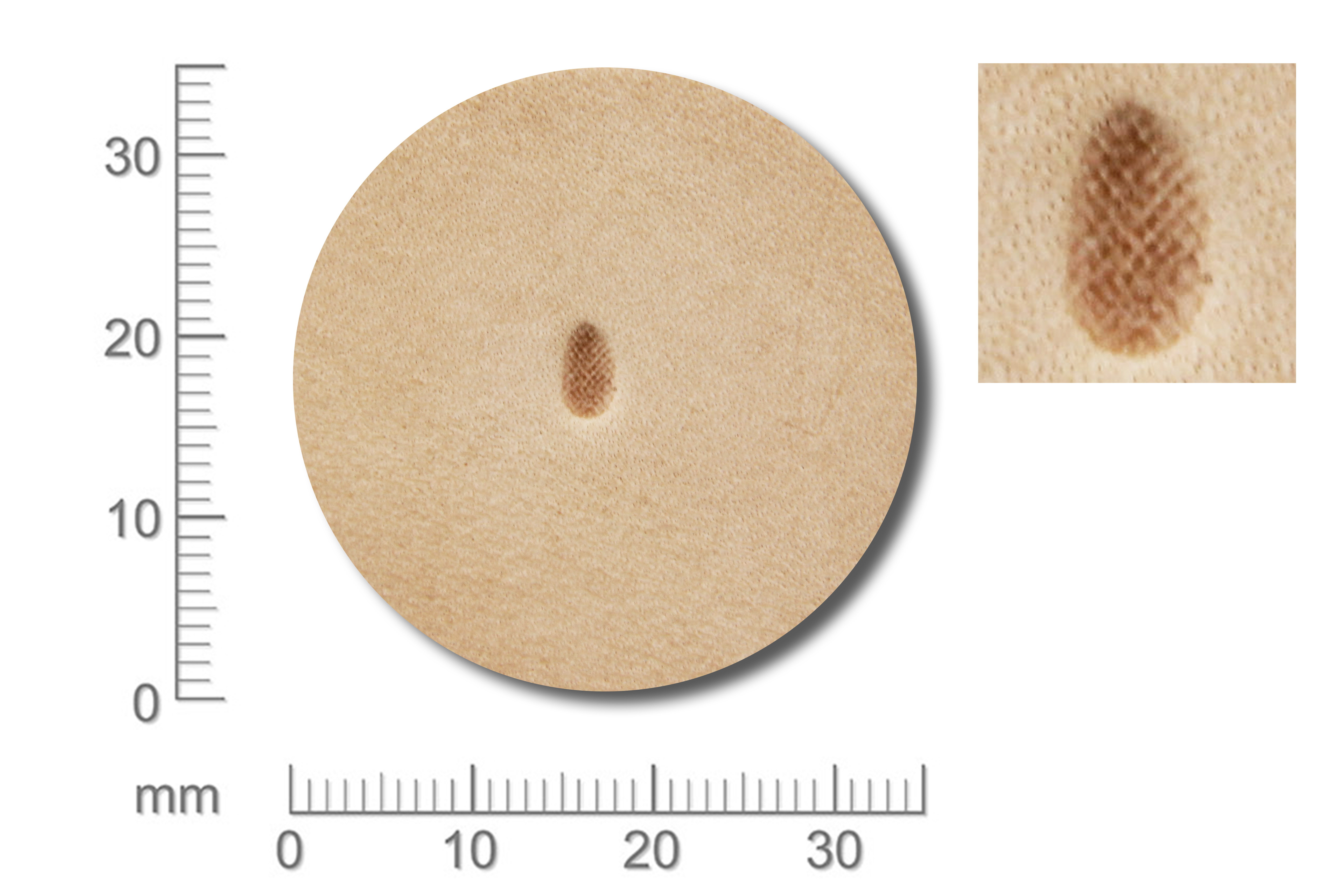 Stamping tool P236 ( TF-05 )