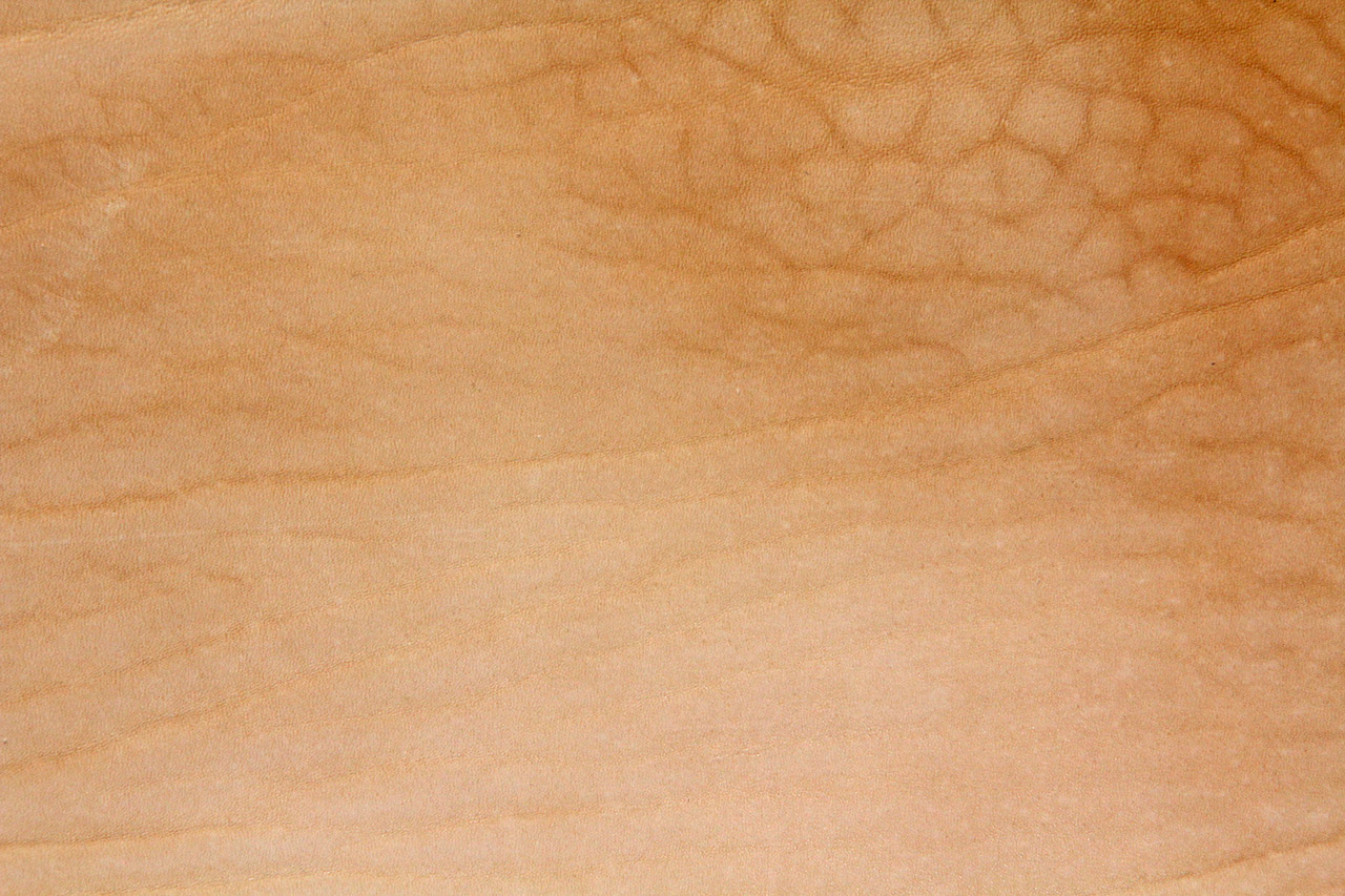 AE12-65-01-03