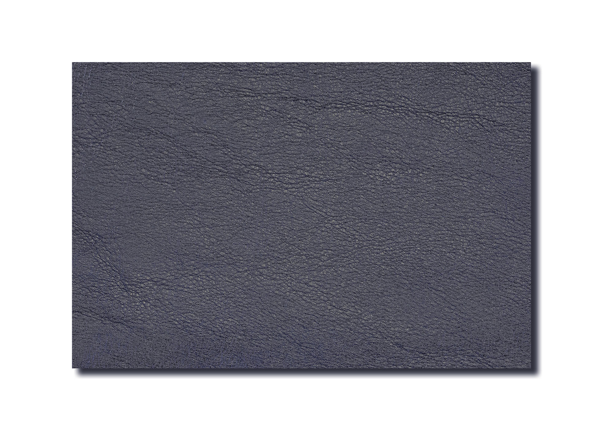 Leather - Cowhide - Side - embossed and pigment covered dark blue, finely grained ( 1,5 mm) - 2,28 m²