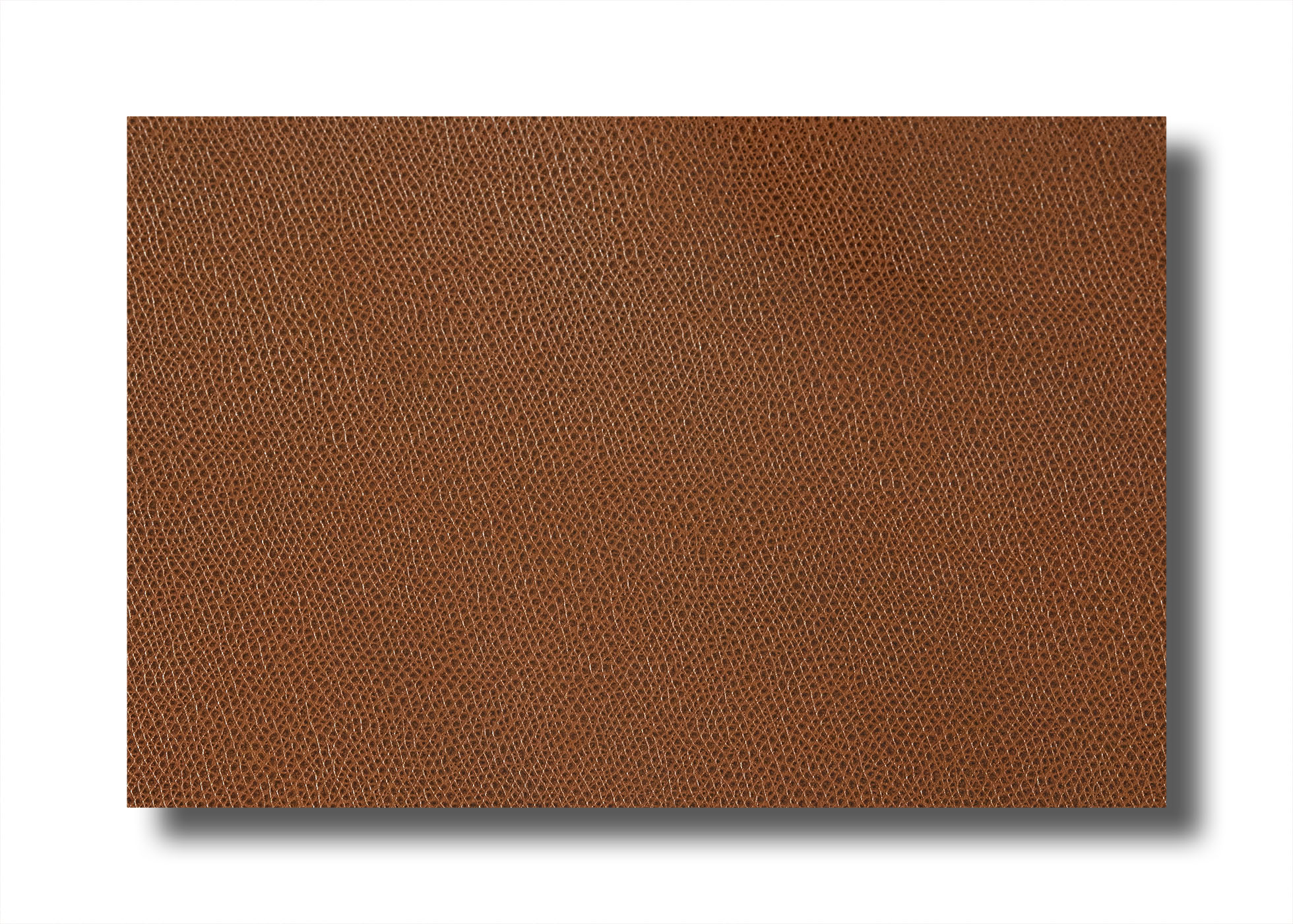 Leather - Cowhide - Side - embossed and pigment covered mocha (1,7 mm) - 1,75m²