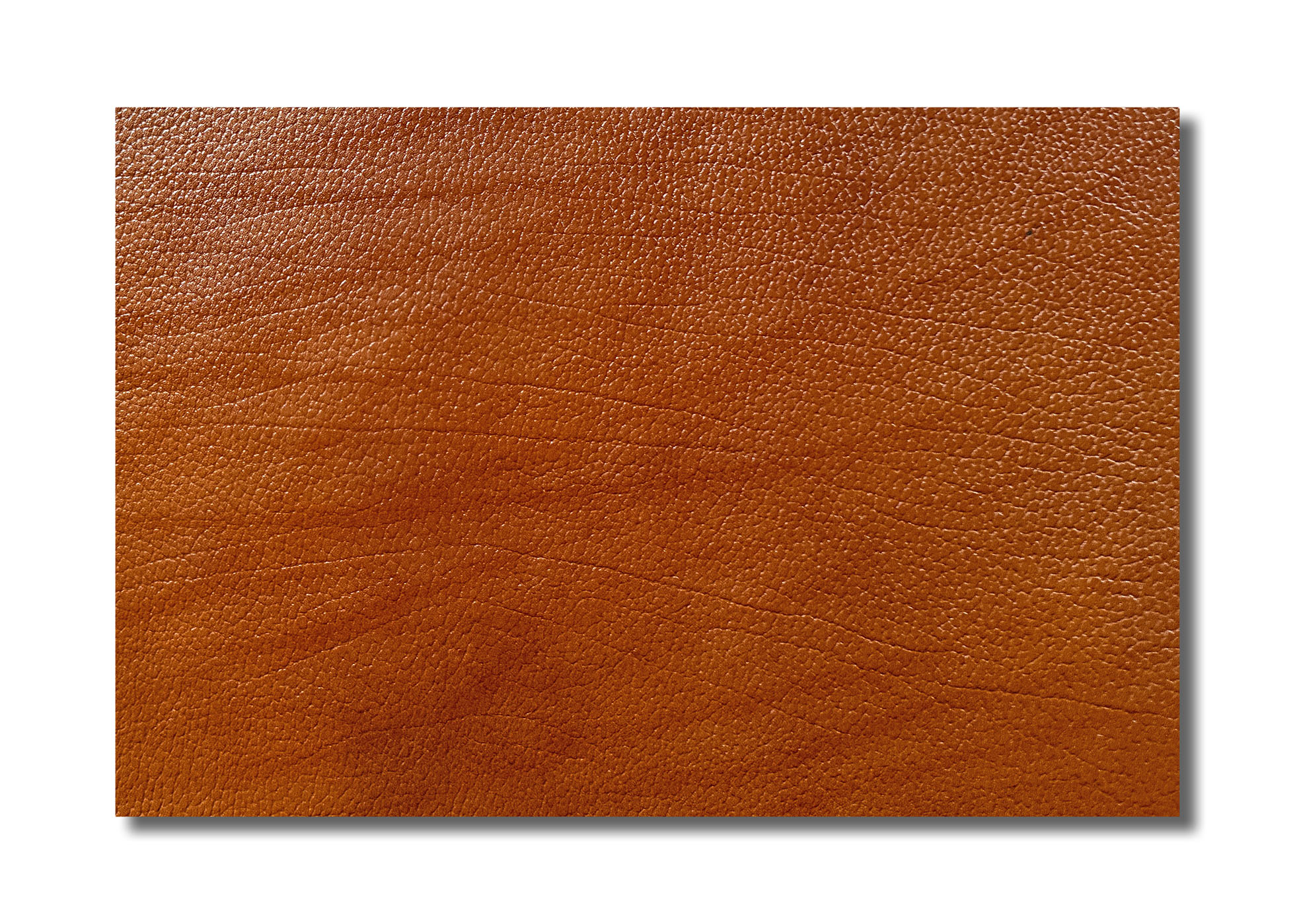 Leather - Cowhide - Side - vegtan - cognac (1,6 mm) - 0,50 m²