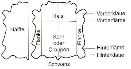 Hautteile2