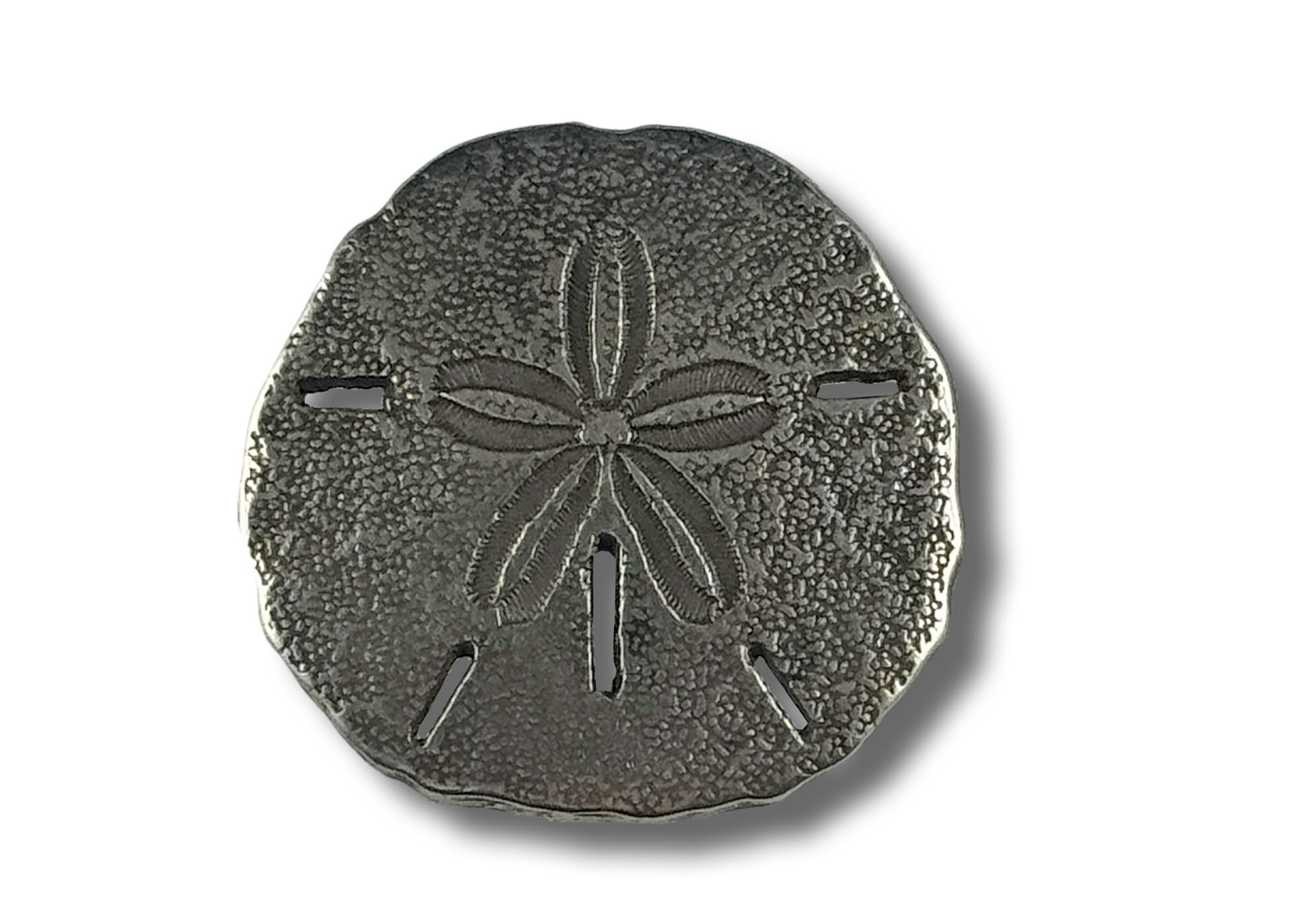 Concho, Sand Dollar